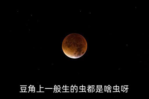 豆角上一般生的蟲都是啥蟲呀