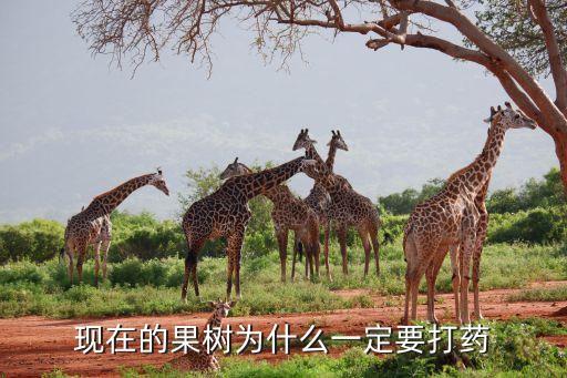 為什么需要農藥,網上農藥為什么便宜