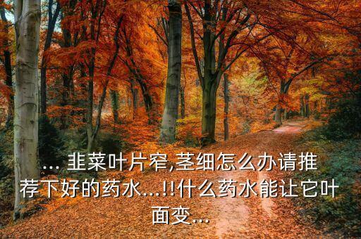 韭菜壯根用什么農藥,韭菜根農藥多嗎