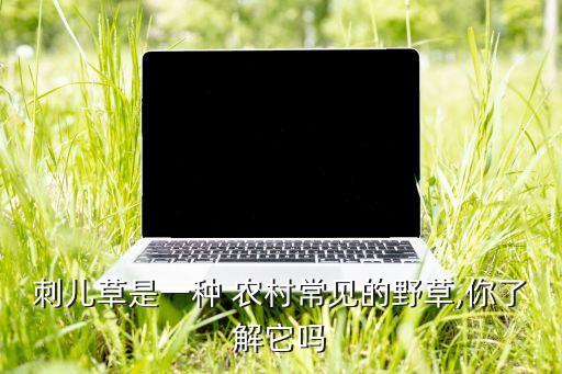 農村打農藥打什么草,在農村開農藥店需要什么條件