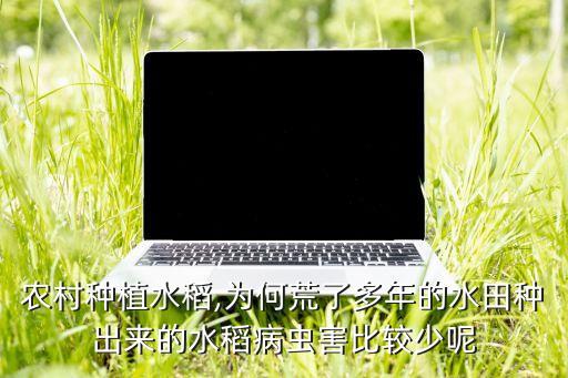農(nóng)村種植水稻,為何荒了多年的水田種出來(lái)的水稻病蟲害比較少呢