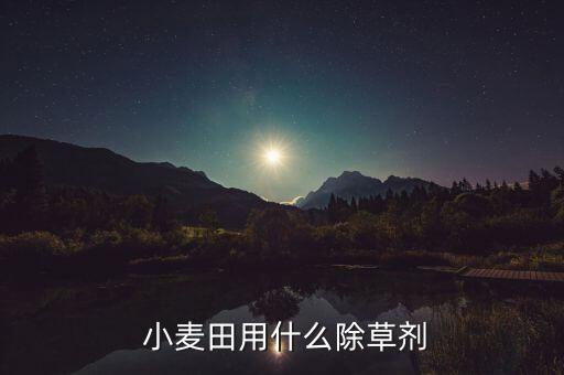 生物農(nóng)藥小麥用什么農(nóng)藥,匯豐生物農(nóng)藥主要農(nóng)藥產(chǎn)品