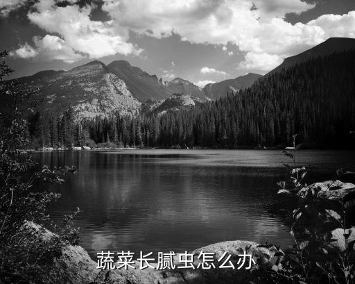 蔬菜長膩蟲怎么辦