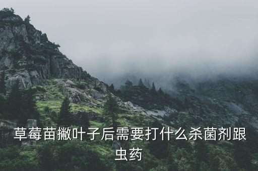  草莓苗撇葉子后需要打什么殺菌劑跟蟲藥