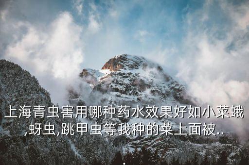 菜苗被蟲吃了用什么農藥,菜苗有蟲吃,用什么農藥治