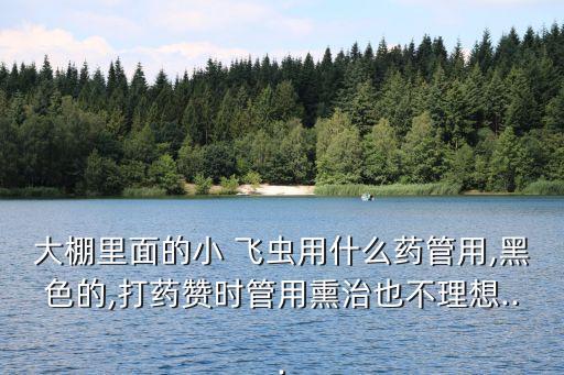 大棚里面的小 飛蟲用什么藥管用,黑色的,打藥贊時管用熏治也不理想...
