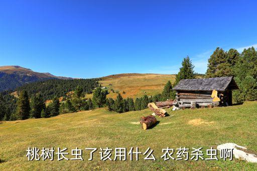  桃樹(shù)長(zhǎng)蟲(chóng)了該用什么 農(nóng)藥殺蟲(chóng)啊