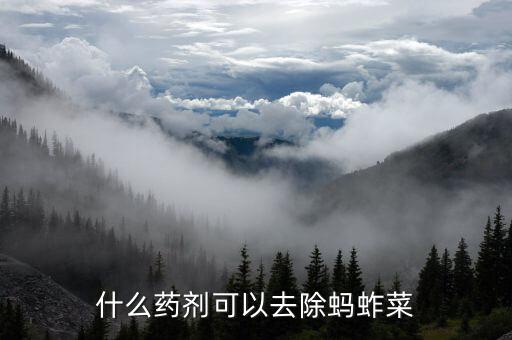 什么藥劑可以去除螞蚱菜