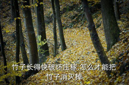  竹子長得快破壞莊稼,怎么才能把 竹子消滅掉