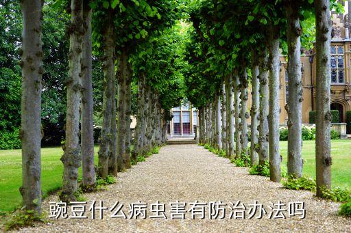  豌豆什么病蟲害有防治辦法嗎