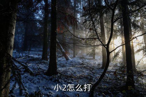 小2怎么打