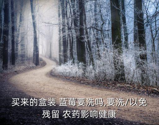 藍莓為什么不打農藥,藍莓有沒有打農藥