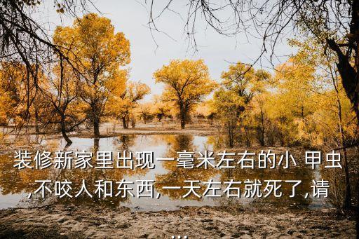 裝修新家里出現(xiàn)一毫米左右的小 甲蟲,不咬人和東西,一天左右就死了,請...