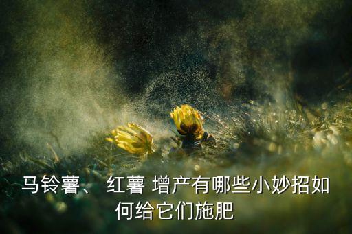 紅薯打什么農藥使它增產,紅薯要噴什么農藥呢