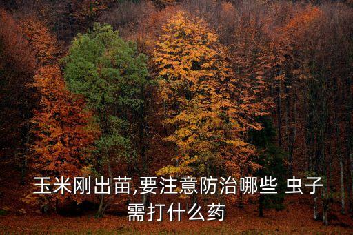 打玉米蟲子什么農藥好,膩蟲子用什么農藥