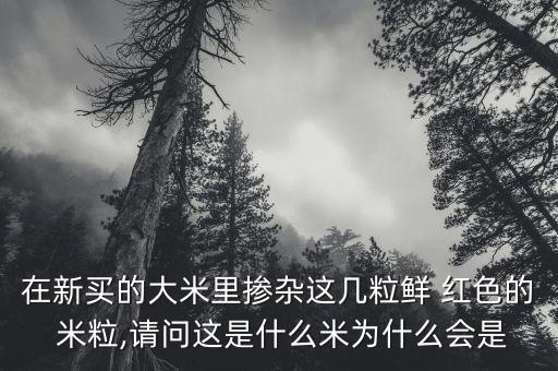 紅色苞米粒是什么農藥,紅色的苞米是什么品種