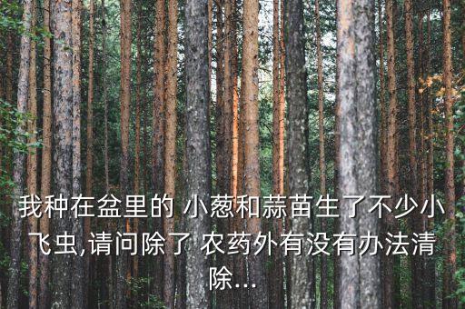什么農藥能殺死小蔥害蟲,小蔥一般打什么農藥
