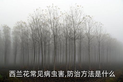  西蘭花常見病蟲害,防治方法是什么