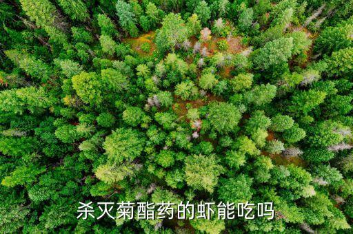 藥蝦的農藥有什么,農藥封閉藥什么時間打合適