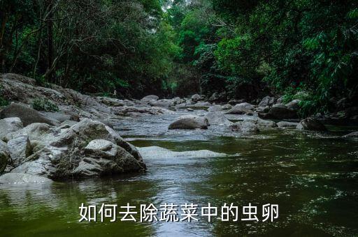如何去除蔬菜中的蟲卵