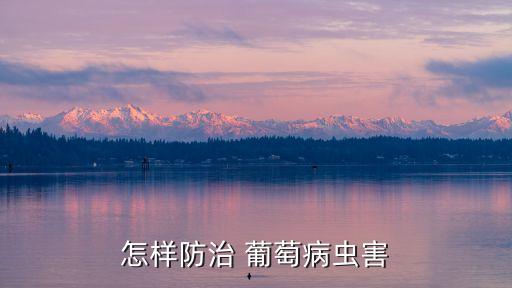 葡萄蟲咬葉片用什么農藥