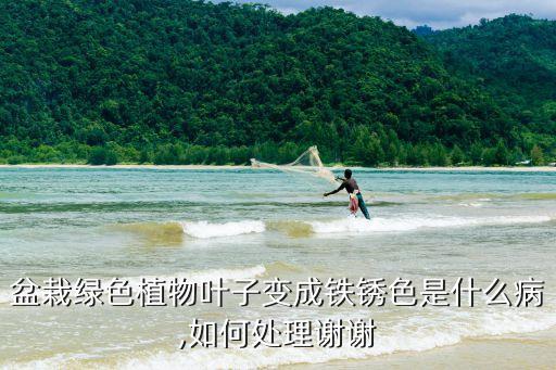 農(nóng)藥紅銹是什么原因,打紅珠珠的農(nóng)藥是什么藥