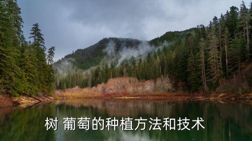 嫁接后葡萄用什么農(nóng)藥,嫁接葡萄樹苗的方法和技術(shù)