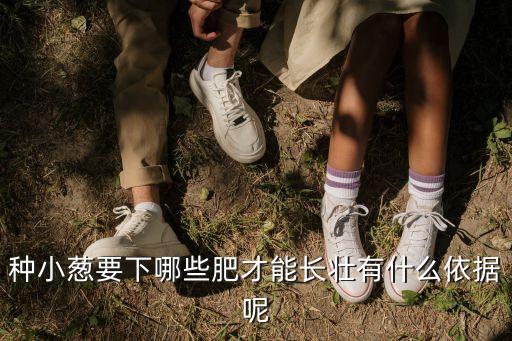 香蔥什么農藥長得快,香蔥長什么樣的圖片