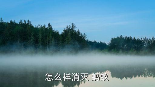 螞蟻用什么農藥去殺死它們,什么農藥能快速殺死螞蟻
