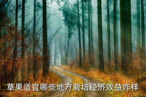 草果適宜哪些地方栽培經(jīng)濟(jì)效益咋樣