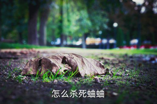 怎么殺死蛐蛐
