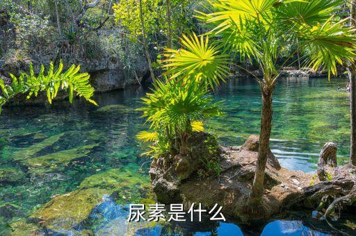 尿素是什么