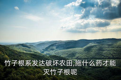 竹子根系發(fā)達破壞農田,施什么藥才能滅竹子根呢