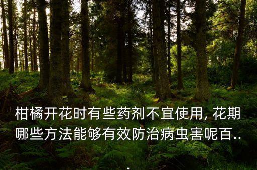 果樹花期為什么不能打農藥