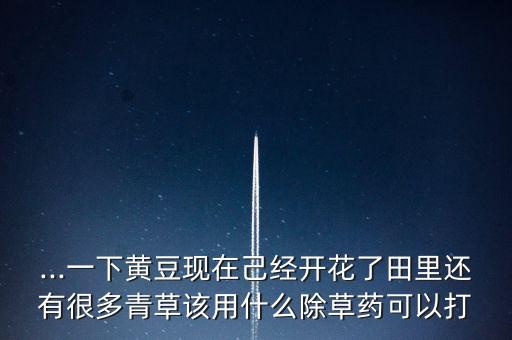 ...一下黃豆現(xiàn)在己經(jīng)開花了田里還有很多青草該用什么除草藥可以打