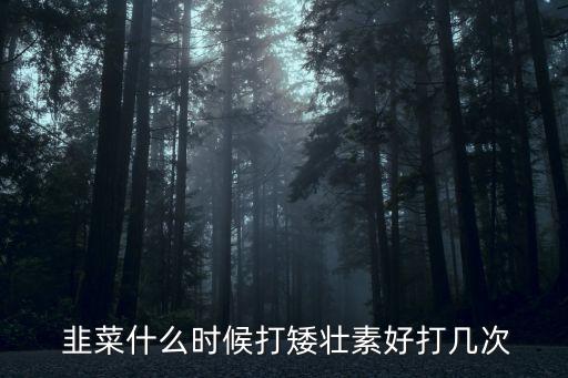  韭菜什么時候打矮壯素好打幾次