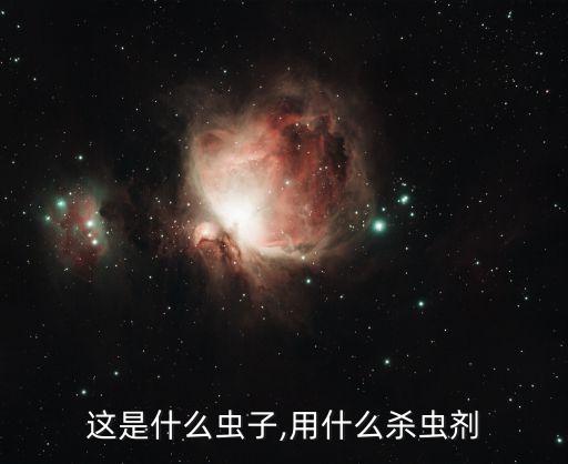 這是什么蟲子,用什么殺蟲劑
