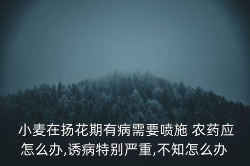  小麥在揚花期有病需要噴施 農藥應怎么辦,誘病特別嚴重,不知怎么辦