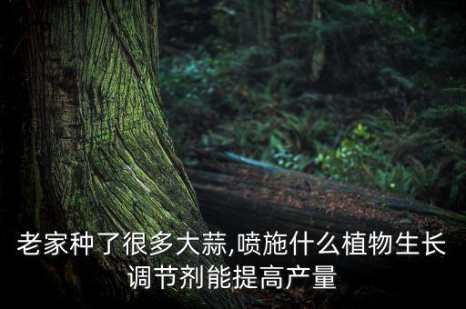 老家種了很多大蒜,噴施什么植物生長調節劑能提高產量