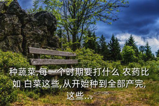 種蔬菜,每一個時期要打什么 農(nóng)藥比如 白菜這些,從開始種到全部產(chǎn)完,這些...