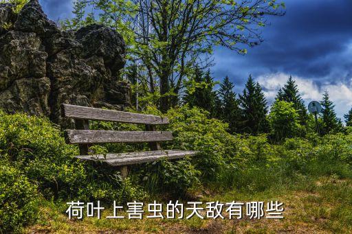 用什么農藥能殺死蓮藕根,什么除草劑能殺死蓮藕
