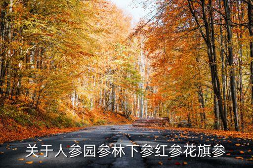 關(guān)于人參園參林下參紅參花旗參