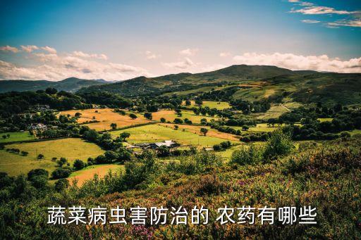  蔬菜病蟲(chóng)害防治的 農(nóng)藥有哪些