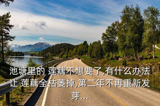 池塘里的 蓮藕不想要了,有什么辦法讓 蓮藕全枯萎掉,第二年不再重新發芽...