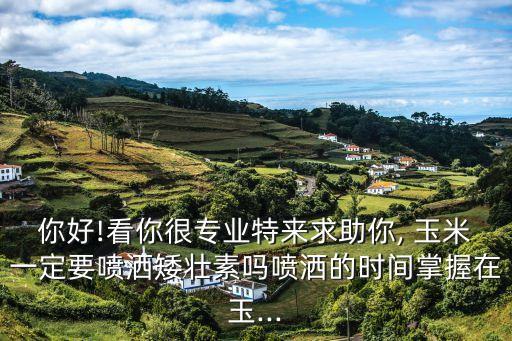 你好!看你很專業特來求助你, 玉米一定要噴灑矮壯素嗎噴灑的時間掌握在玉...