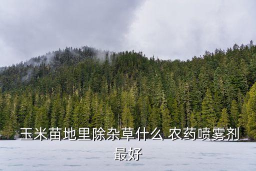  玉米苗地里除雜草什么 農(nóng)藥噴霧劑最好