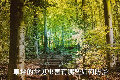  草坪的常見蟲害有哪些如何防治