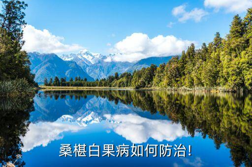 桑果打什么農(nóng)藥,桑果需要打農(nóng)藥嗎
