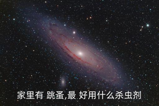 家里有 跳蚤,最 好用什么殺蟲劑
