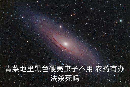 青菜地里黑色硬殼蟲子不用 農(nóng)藥有辦法殺死嗎